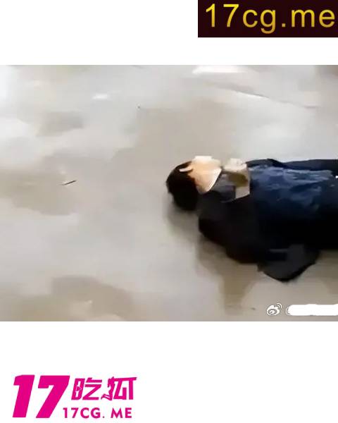 412huilong2.jpg 412huilong2.jpg